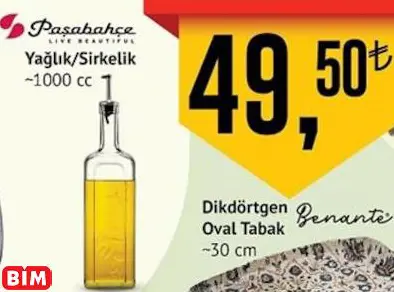 PAŞABAHÇE YAĞLIK / SİRKELİK